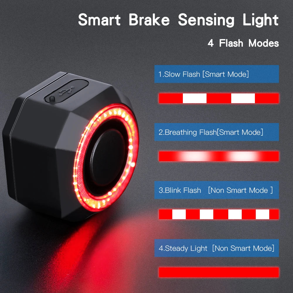 Wsdcam Smart Bike Brake Sensing Taillight With Remote