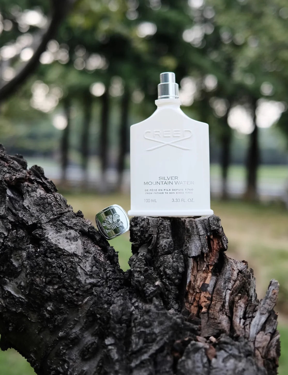 Armaf Silver Mountain Water Inspired Fresh Floral Mens Perfume