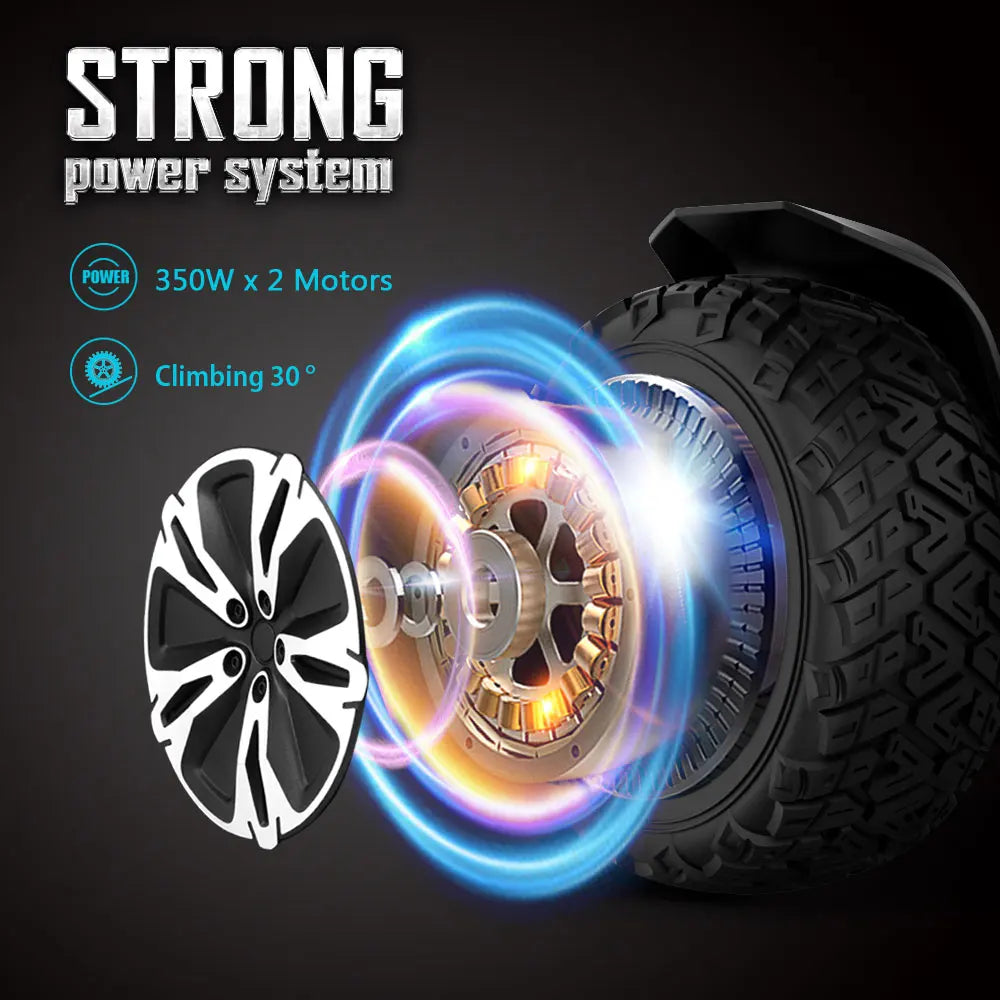 Warrior Off Road Self Balancing Scooter 350W Dual Motors Music Speaker
